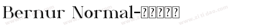 Bernur Normal字体转换